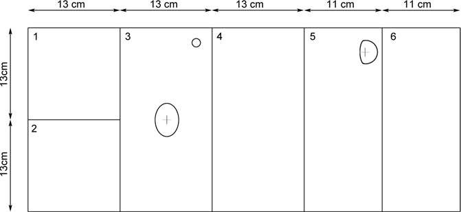 Dimensions de la boîte