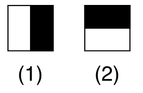 Caratéristique pseudo haar à deux rectangles